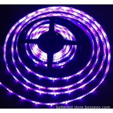 30LEDs/m 5050 flexible led strip with pink color
